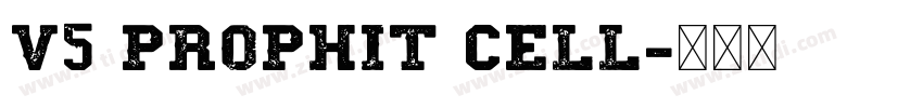 V5 Prophit Cell字体转换